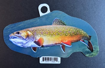 Brook Trout — Giant 15" Die-Cut Vinyl Sticker
